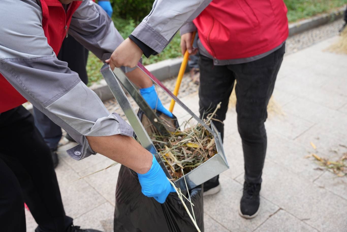 球员们参与公益活动，助力环保行动的简单介绍