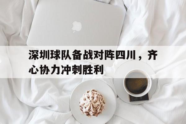 深圳球队备战对阵四川，齐心协力冲刺胜利的简单介绍